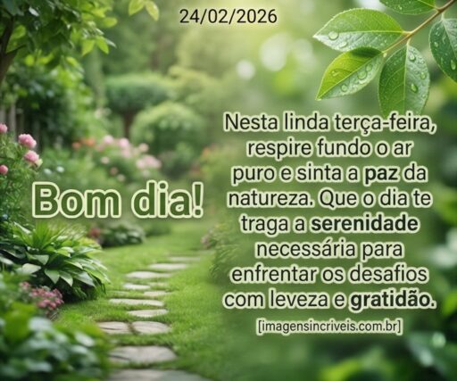 bom-dia-terca-feira-24-02-2026-part-2