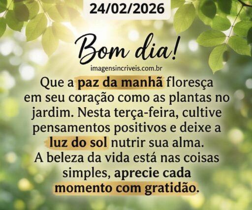 bom-dia-terca-feira-24-02-2026-part-3