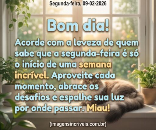 segunda-feira-09-02-2026-part-2