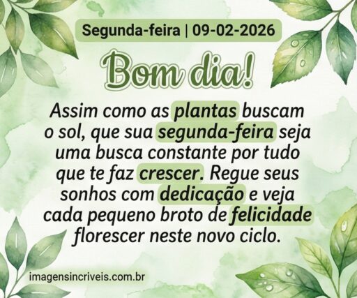 segunda-feira-09-02-2026-part-2