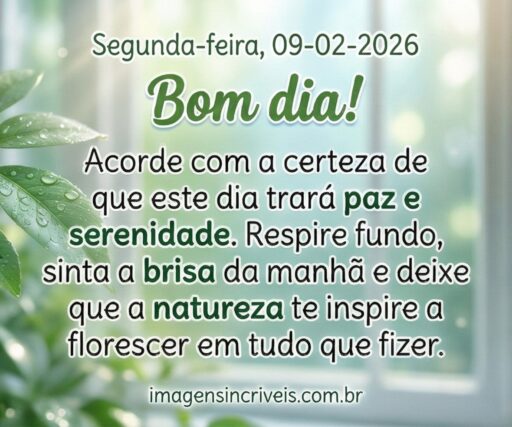 segunda-feira-09-02-2026-part-2