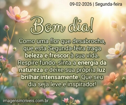 segunda-feira-09-02-2026-part-3