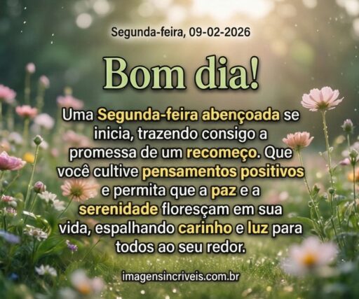 segunda-feira-09-02-2026-part-3