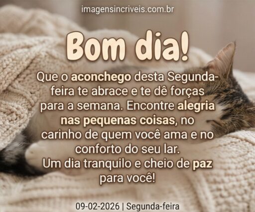 segunda-feira-09-02-2026-part-5